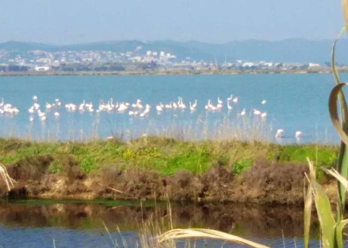 Appartement Avec Terrasse Amenagee Et Wifi A C Hyères