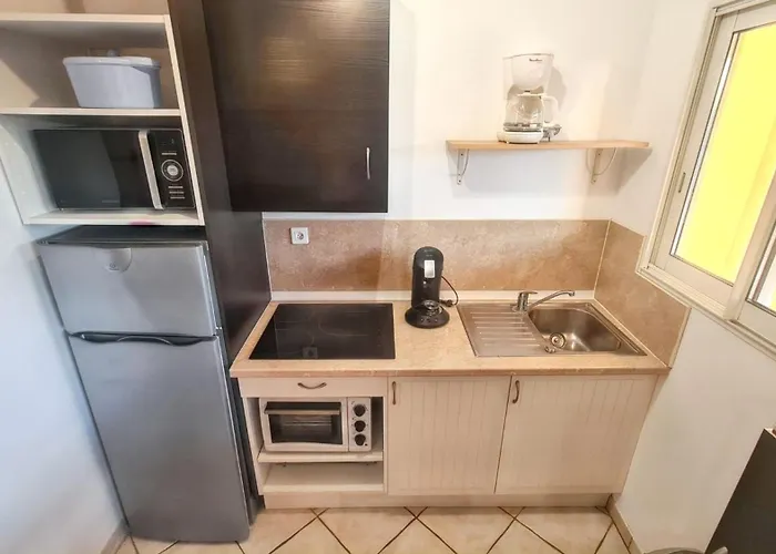 Appartement Avec Terrasse Amenagee Et Wifi A C Hyères
