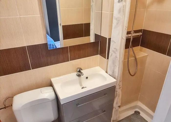 Appartement Avec Terrasse Amenagee Et Wifi A C *